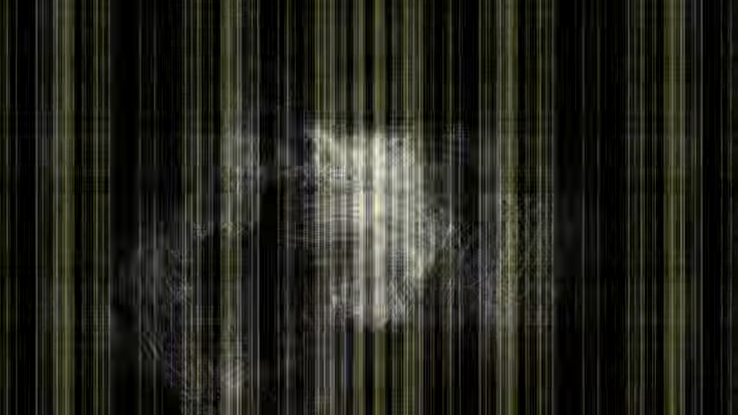 Interference signal